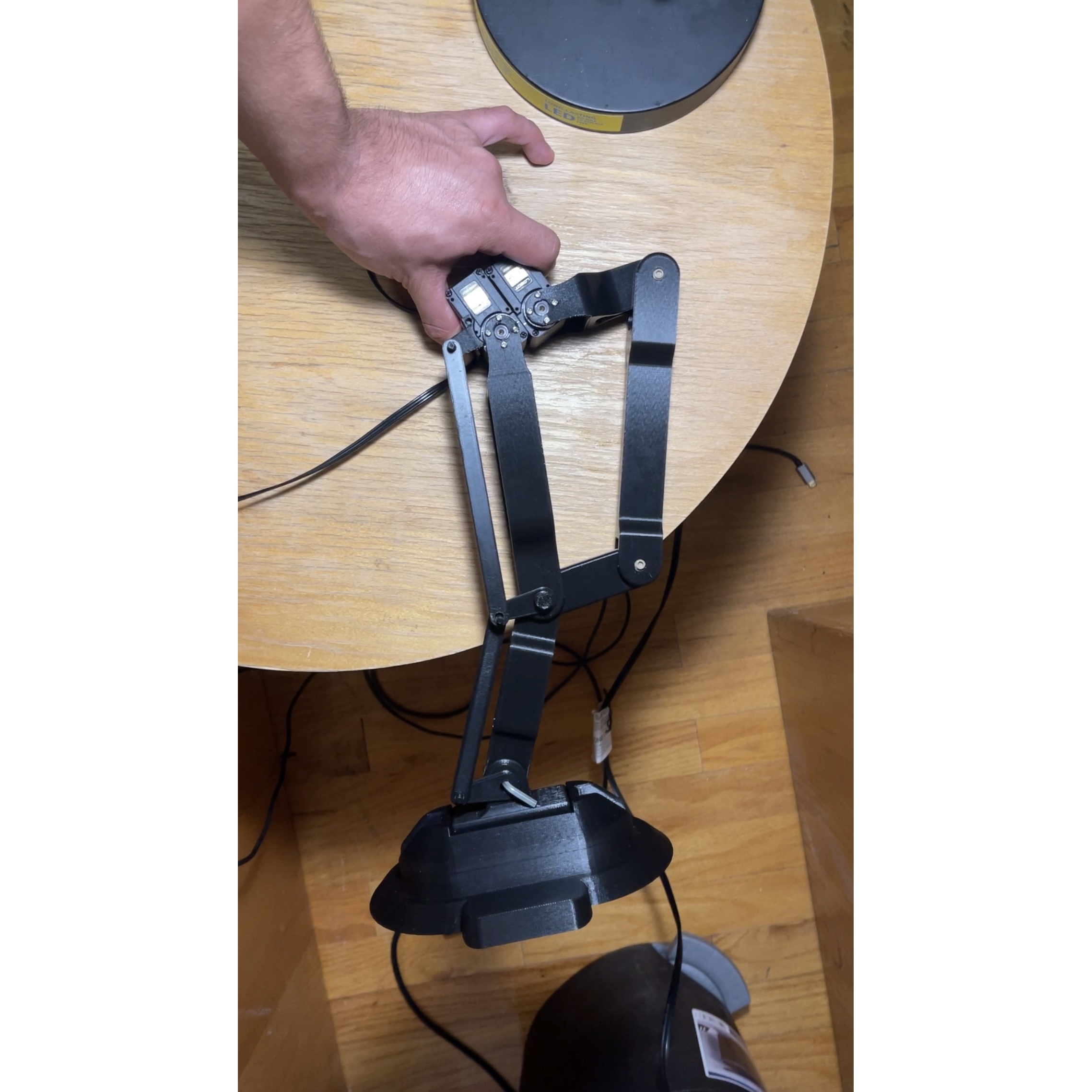 Video frame of the functional leg